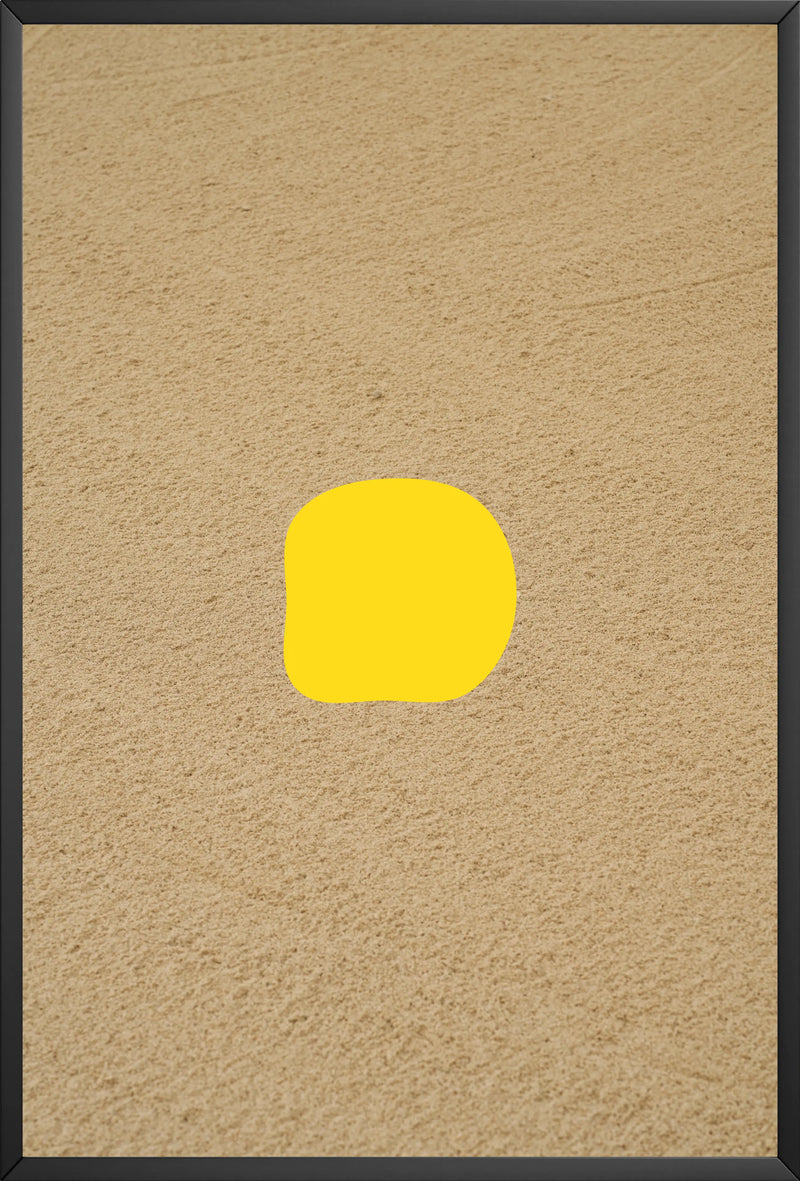 Fried Egg