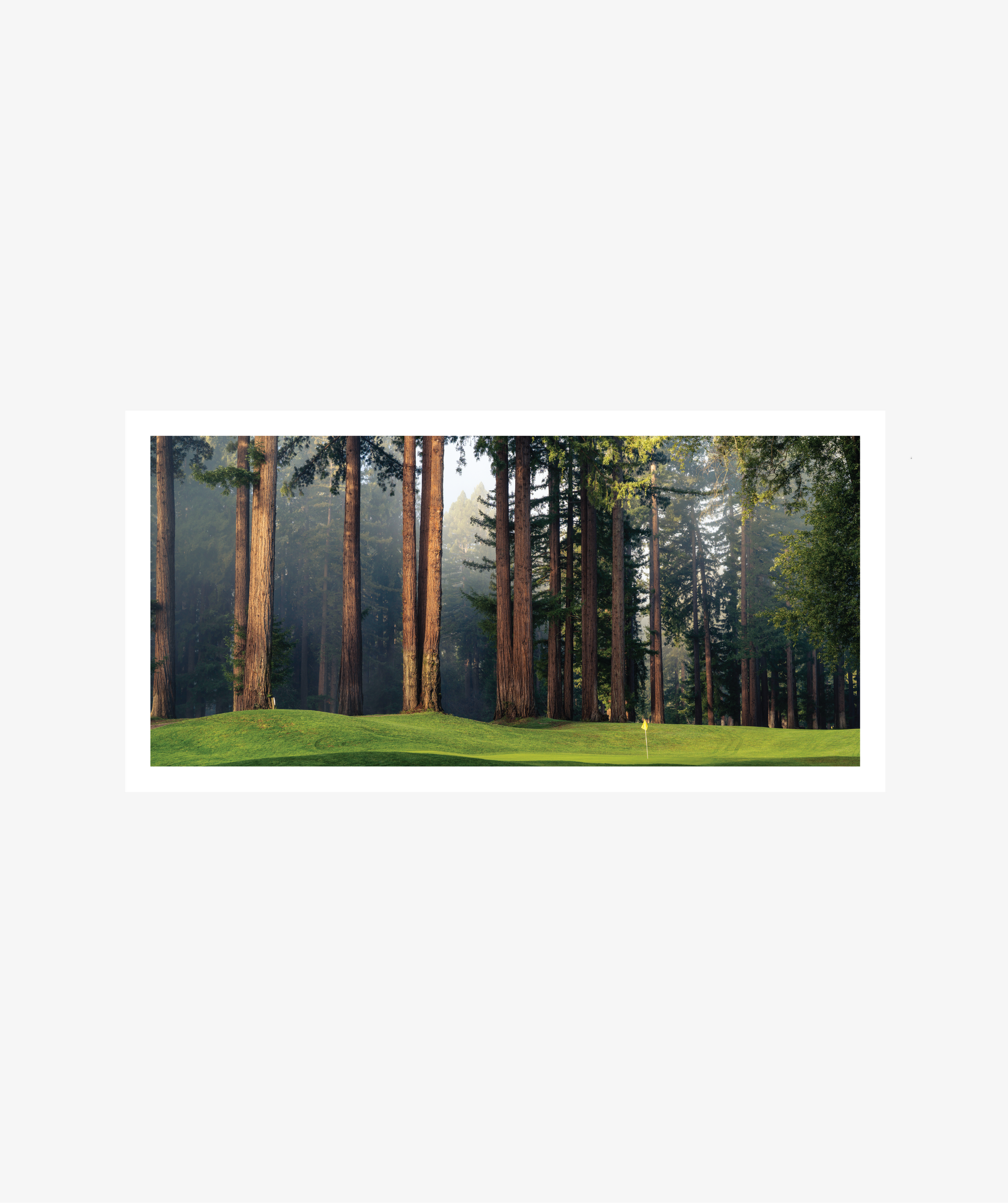 Among the Giants