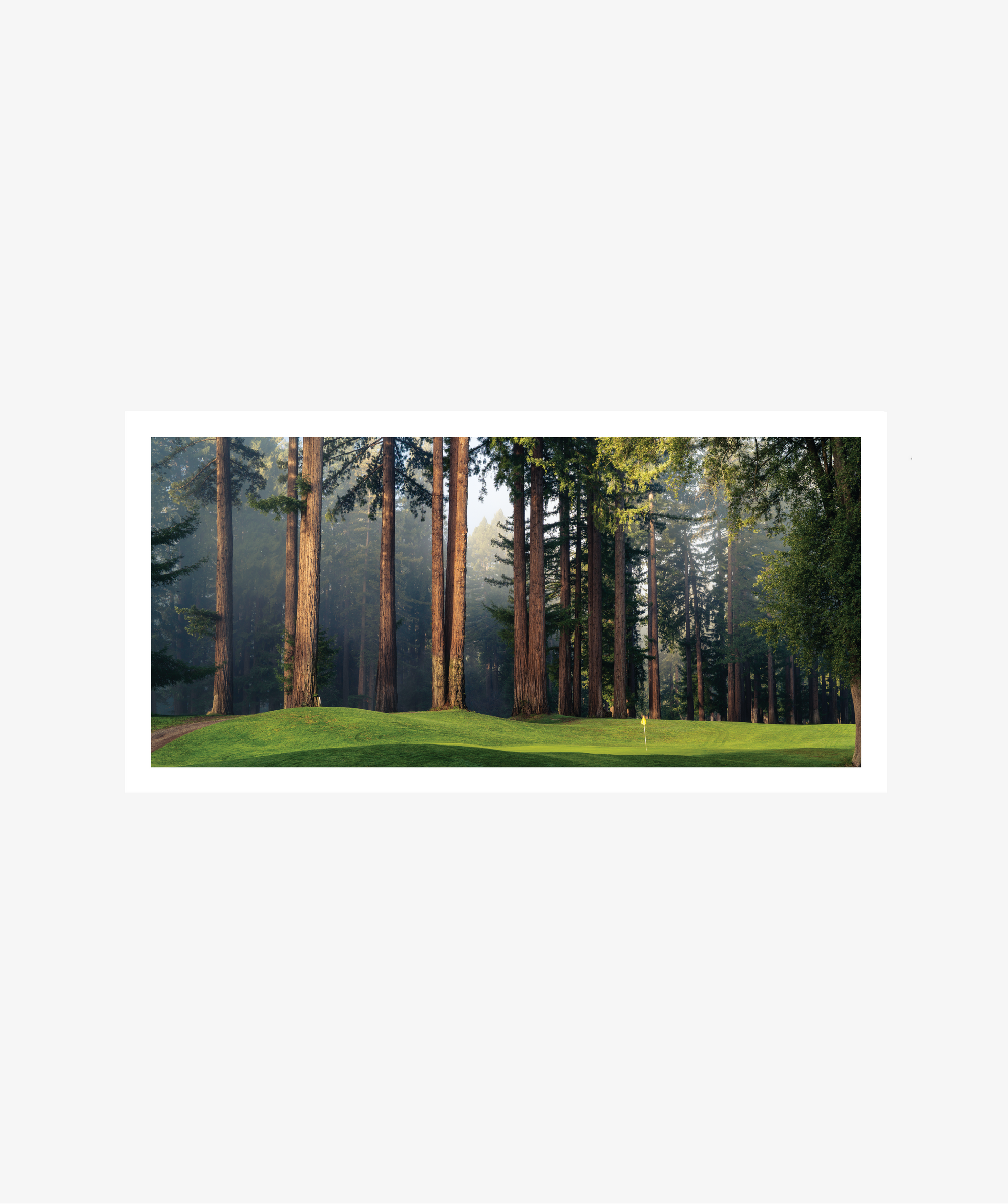 Among the Giants