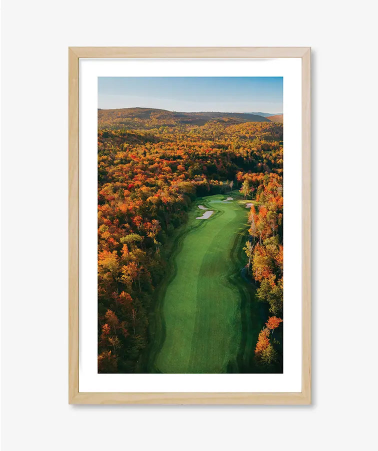 Autumn Approach