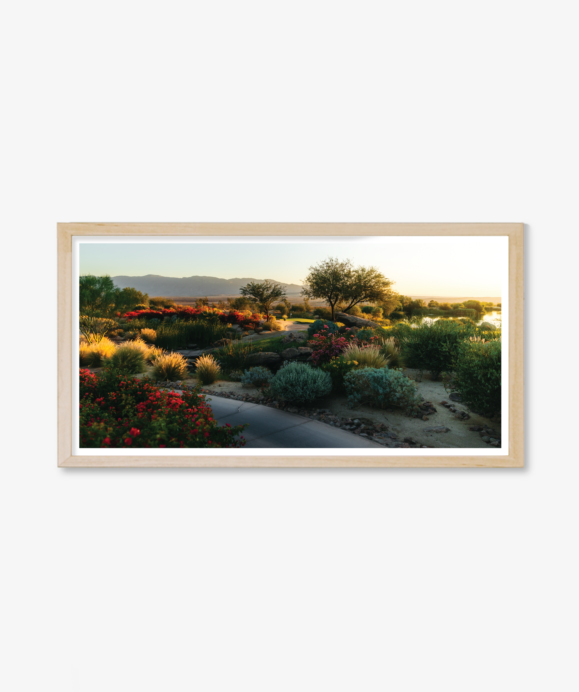 Desert Abundance