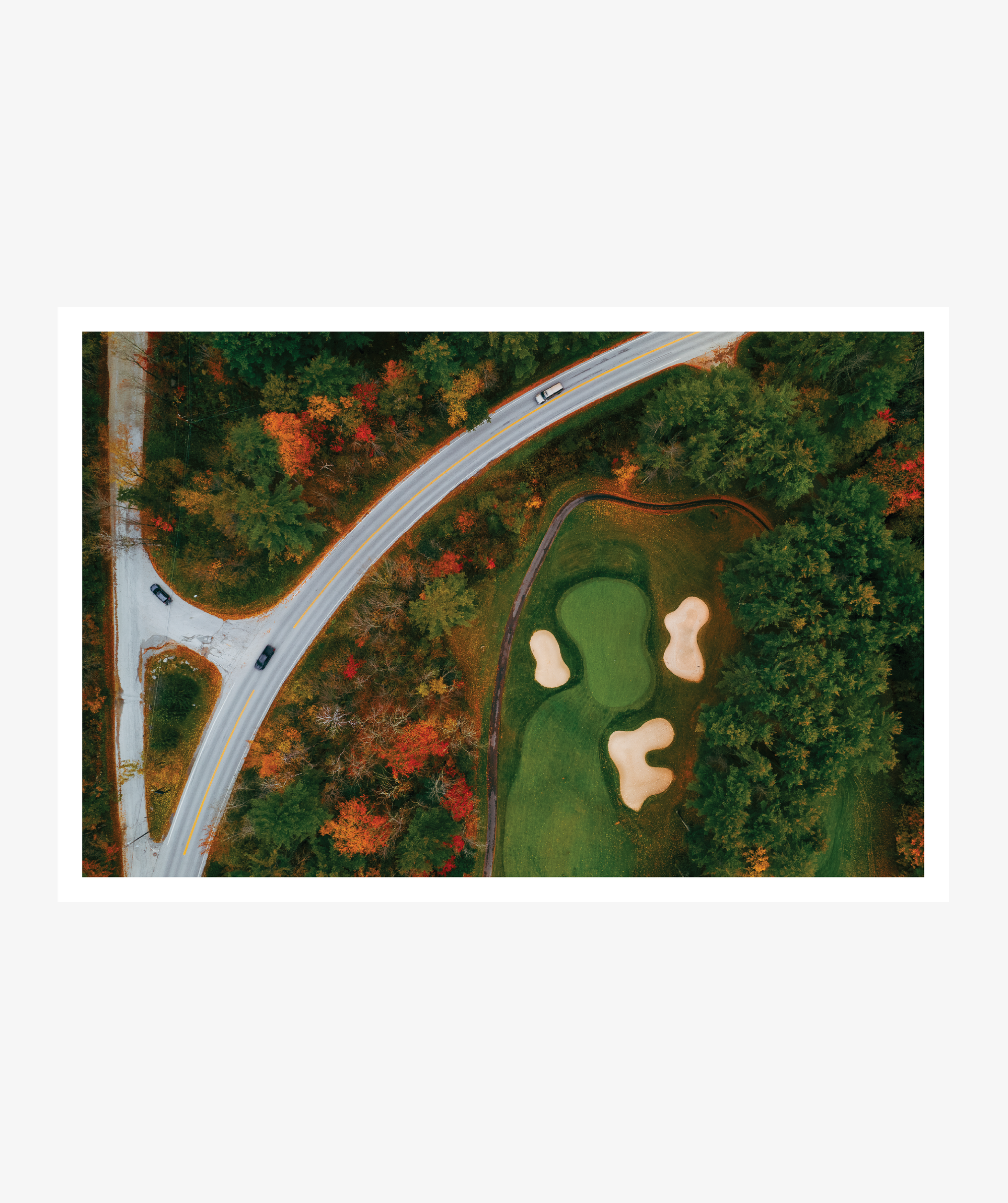 Cars + Canopy