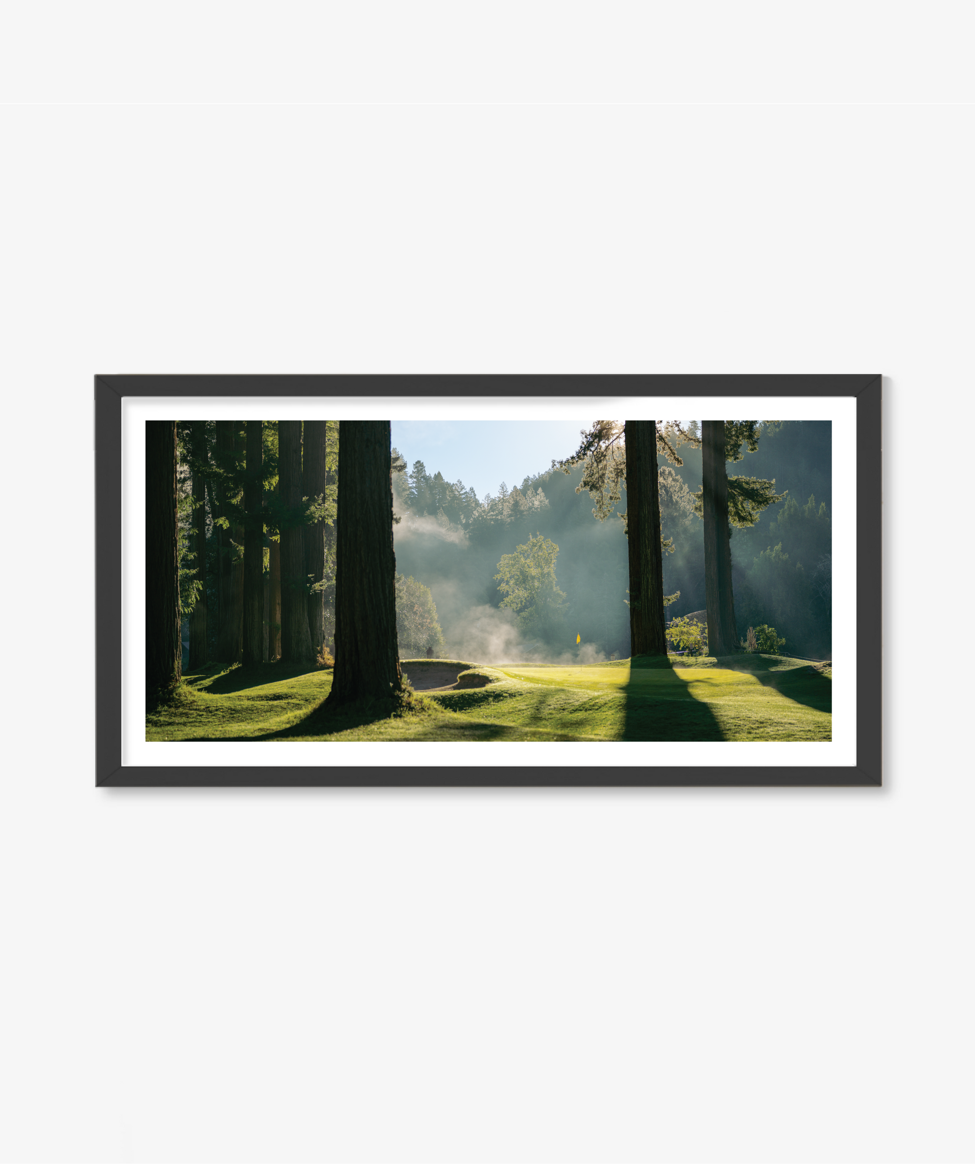 Light + Fog