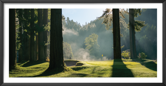 Light + Fog