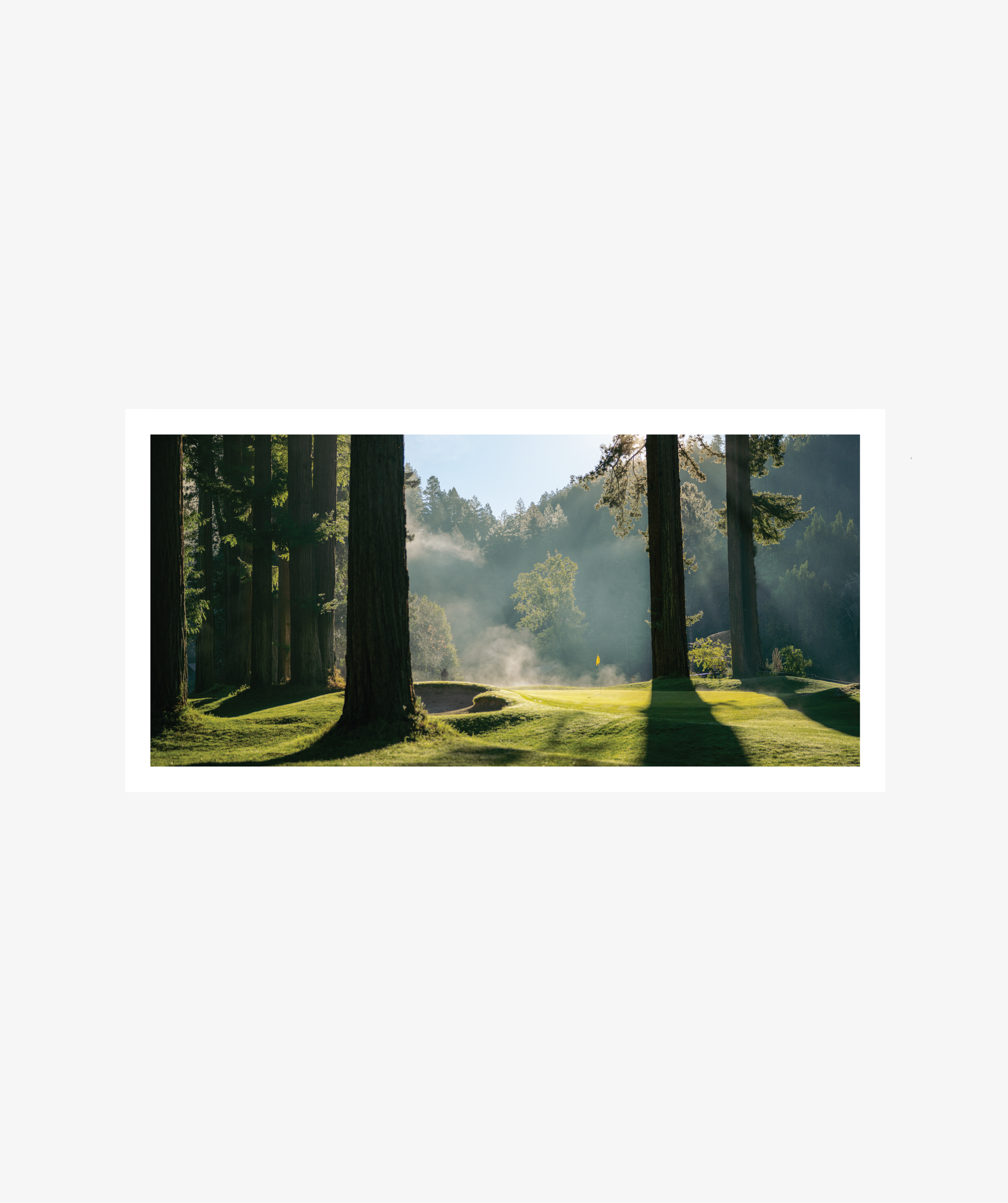 Light + Fog