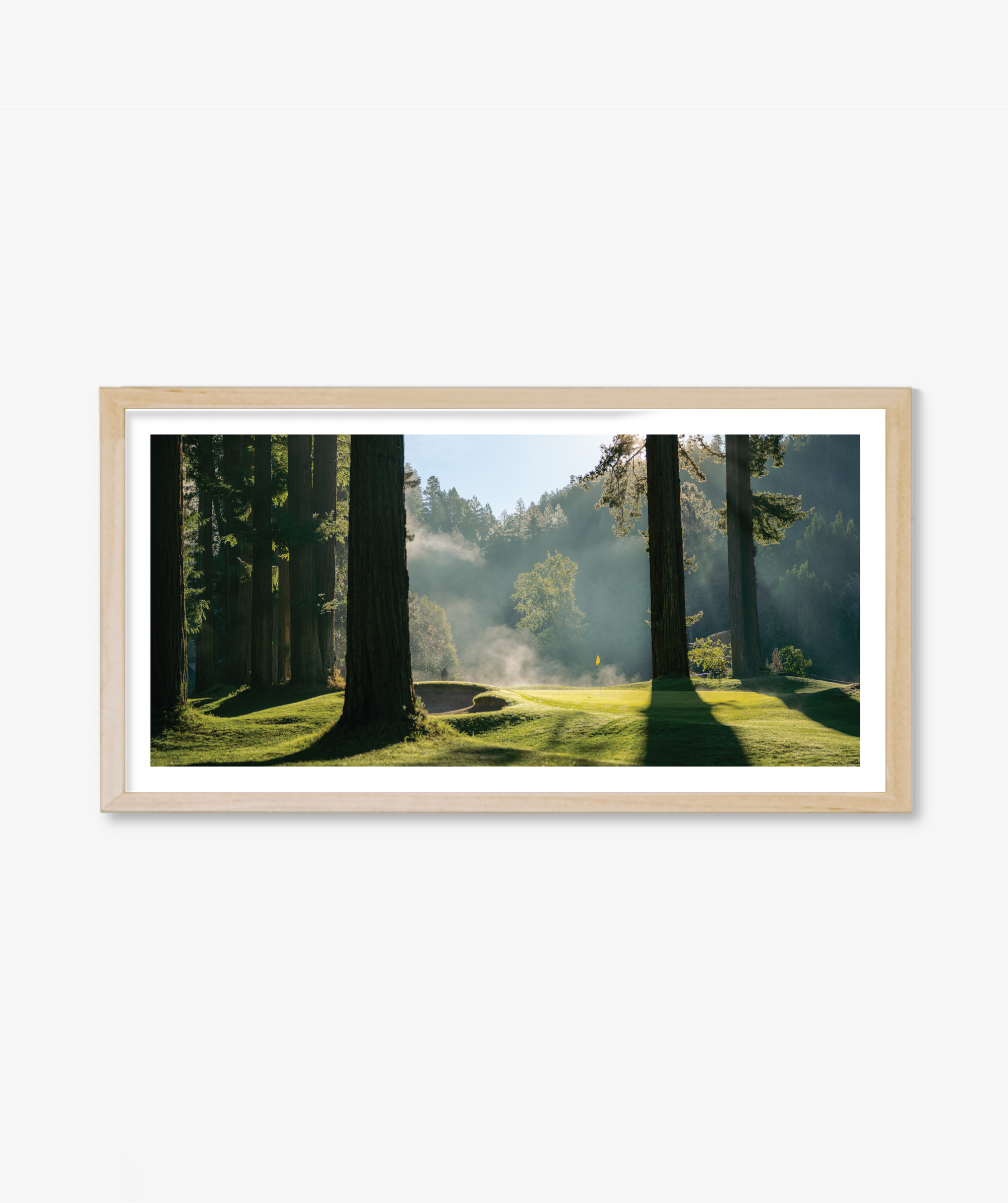 Light + Fog