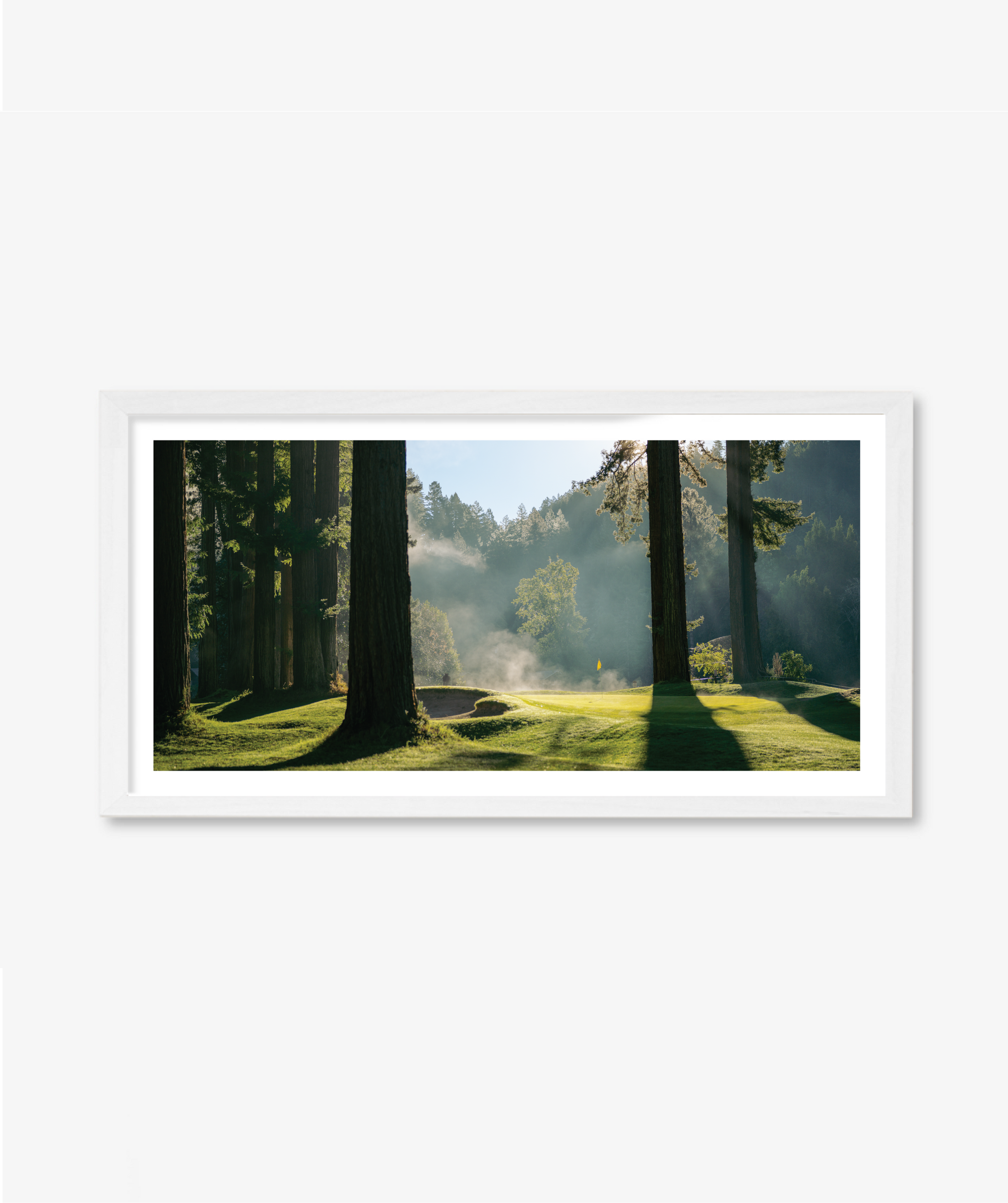 Light + Fog