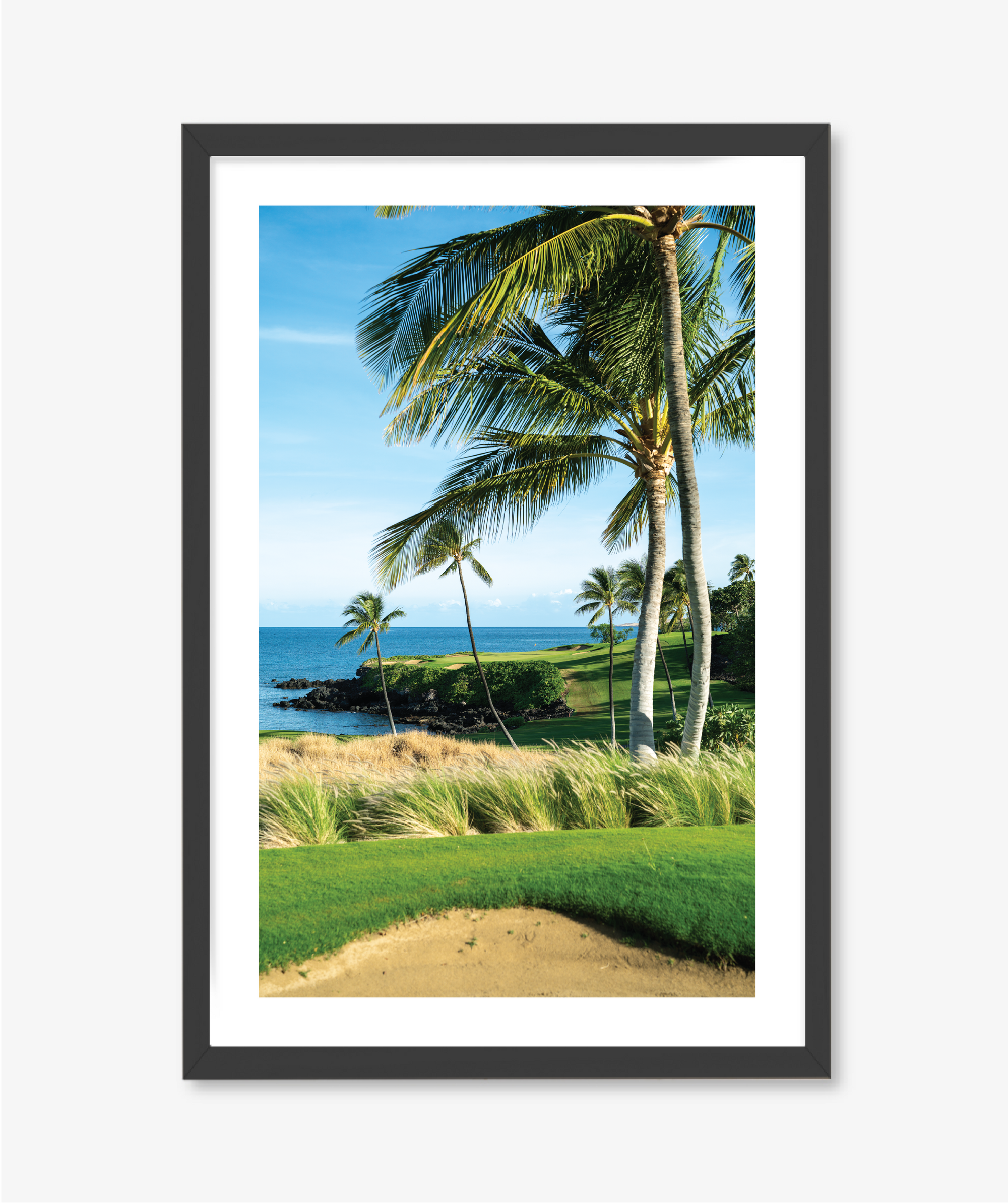 Palm + Sea