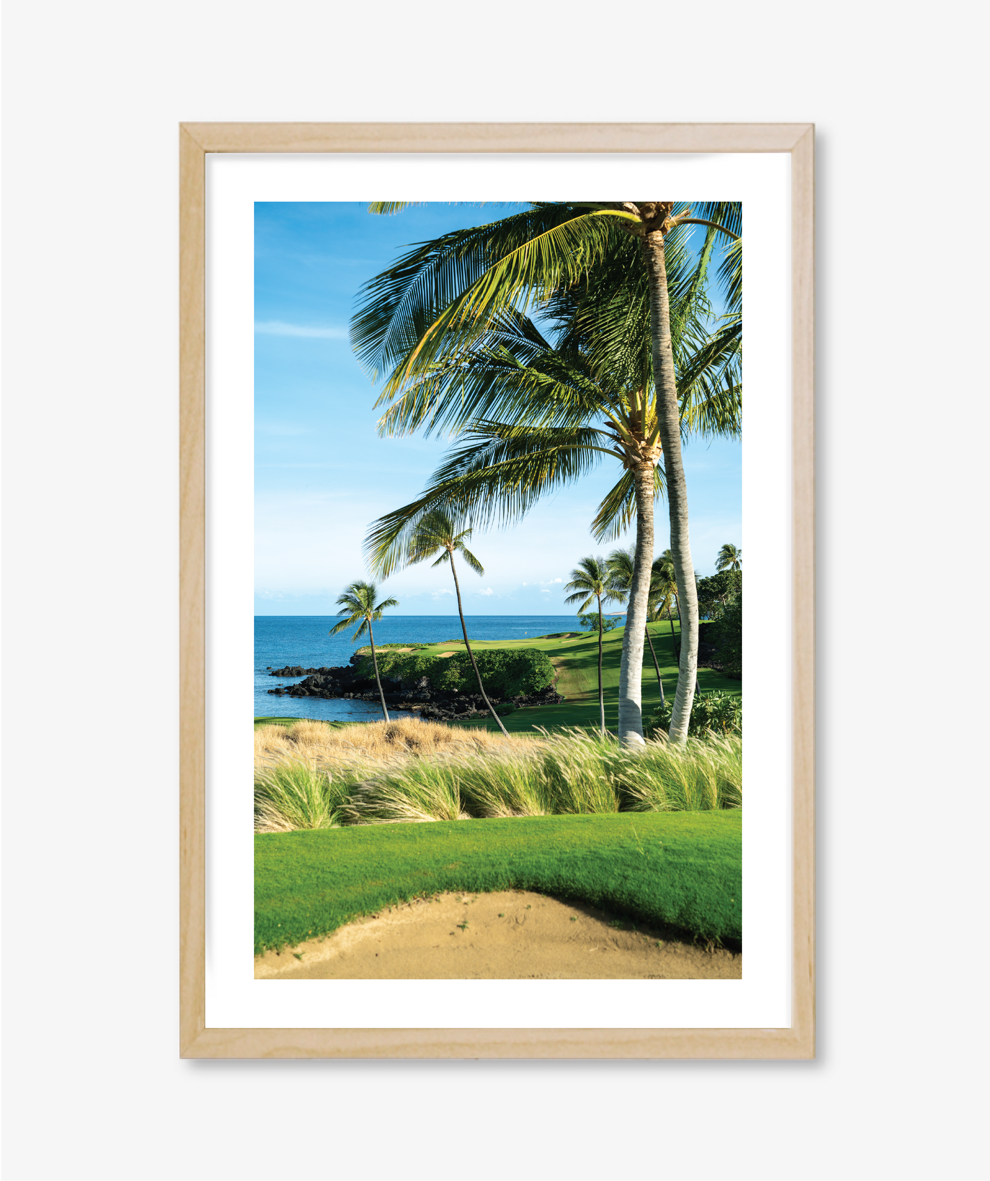Palm + Sea