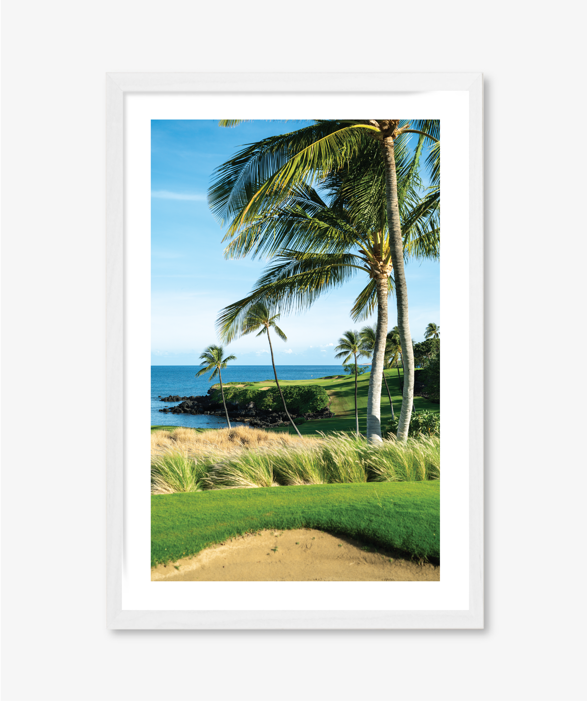 Palm + Sea