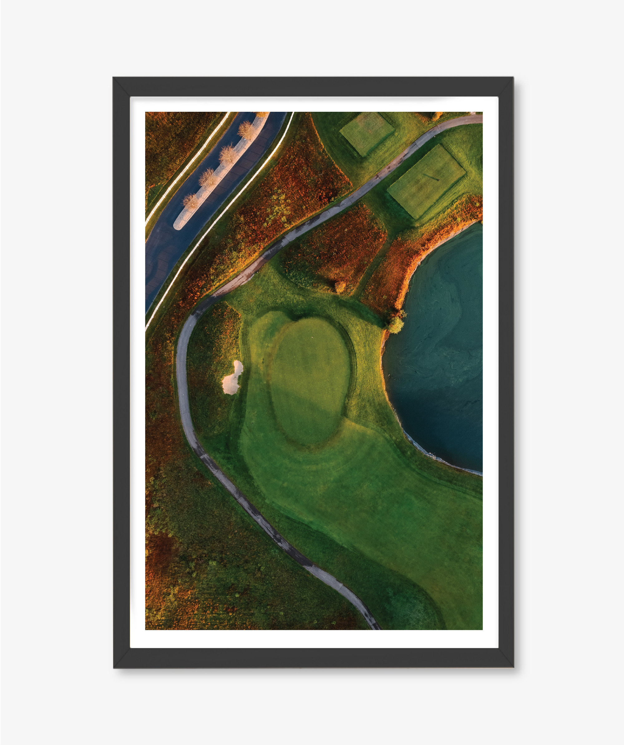 Surface Study