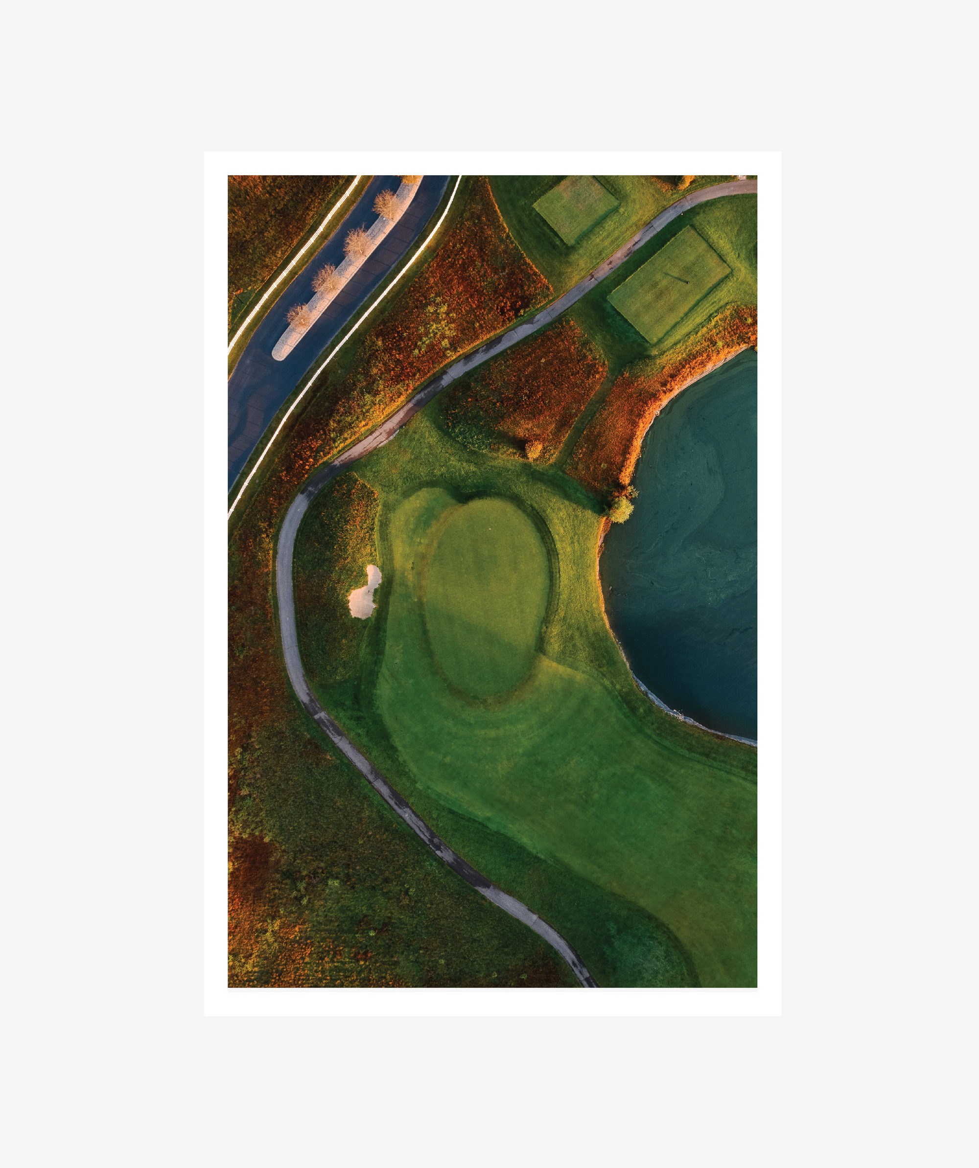 Surface Study