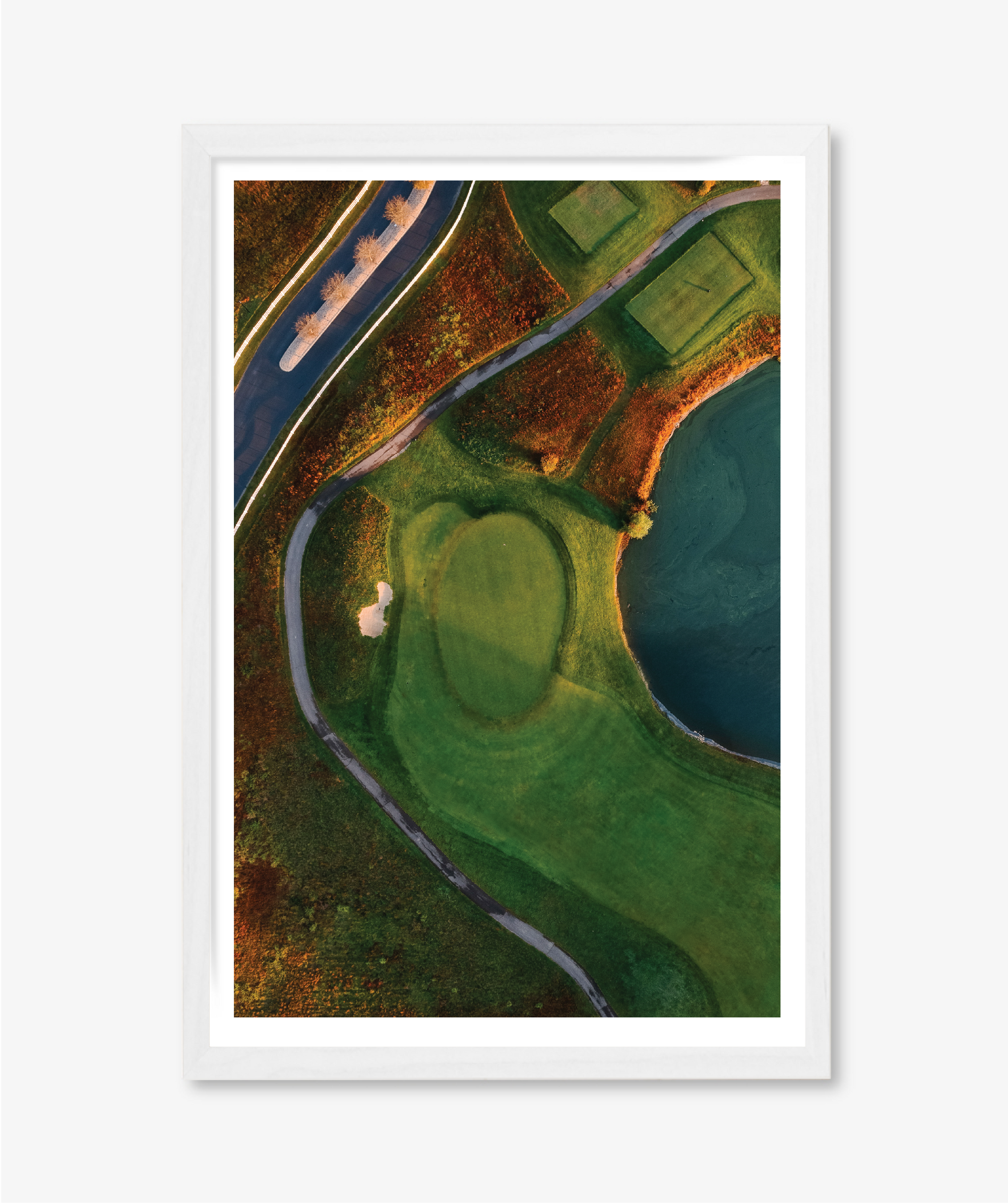 Surface Study