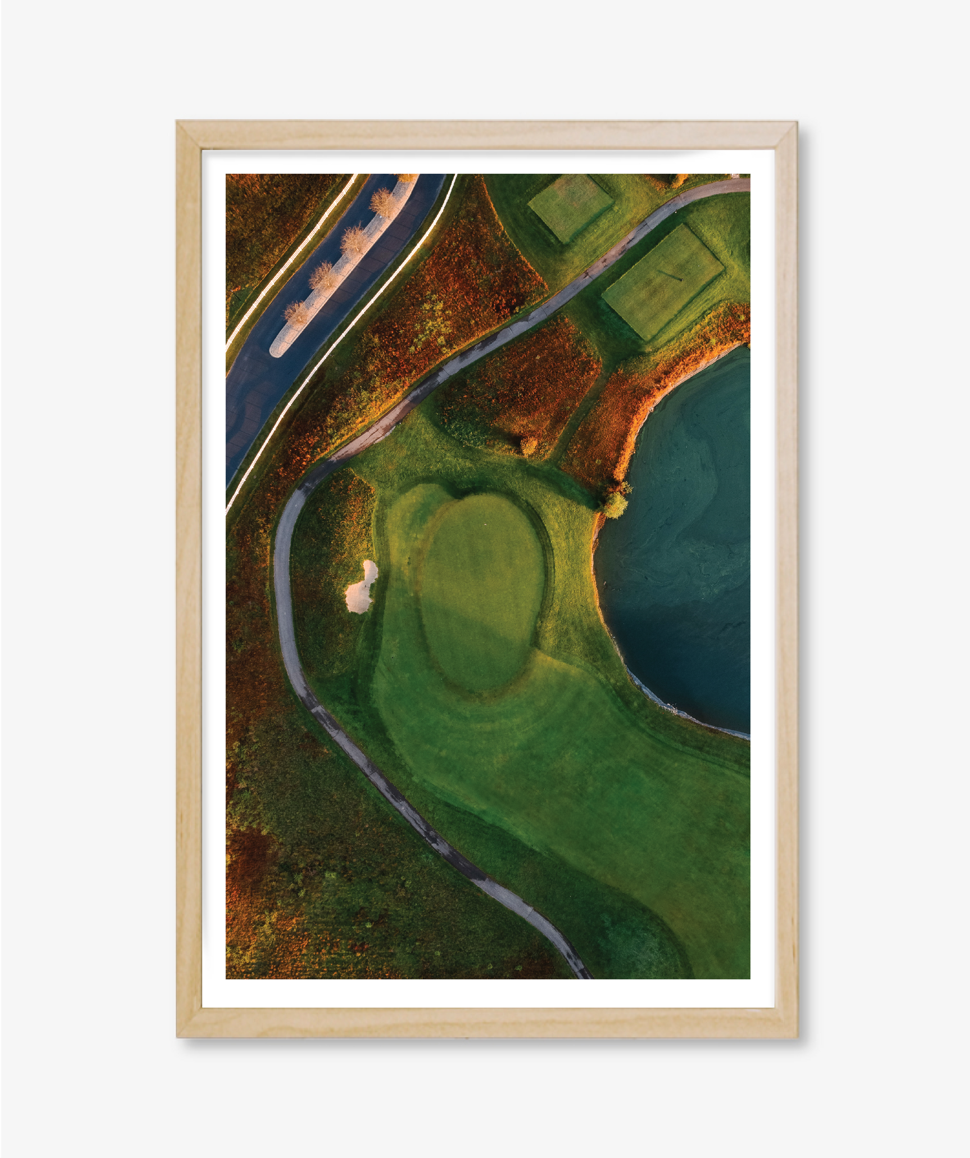 Surface Study