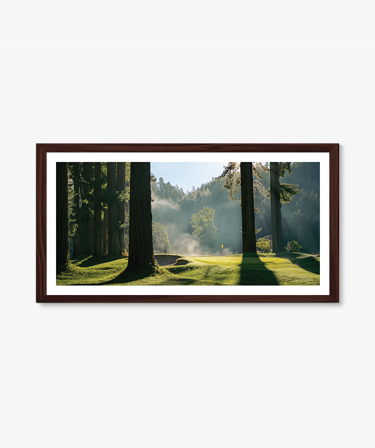 Light + Fog